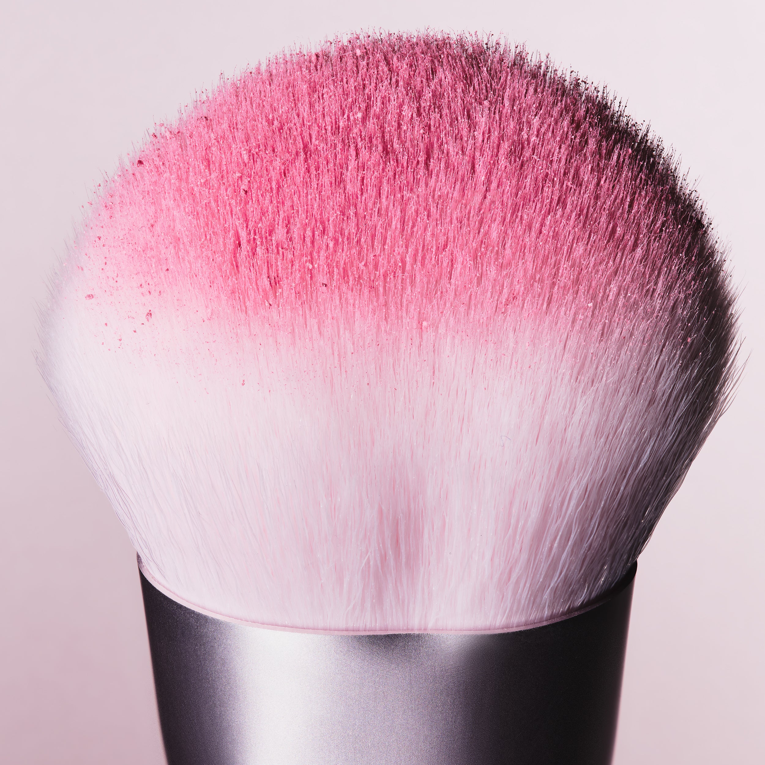 Alternative view of Blush Brush 04